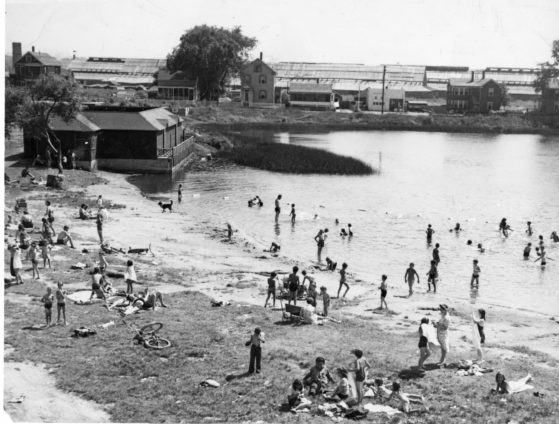 Cambridge Historical Commission photograph of Jerry's Pond in 1945. (Courtesy of Friends of Jerry's Pond)