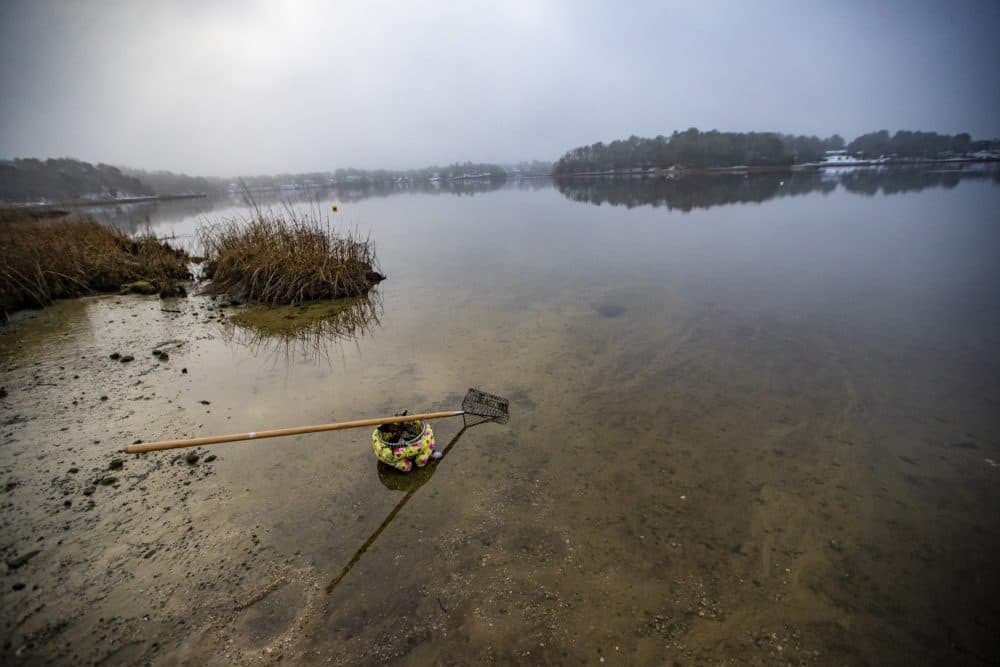 A oyster rake and basket sit on the edge of Little Buttermilk Bay on a misty morning in Buzzards Bay. (Jesse Costa/WBUR)