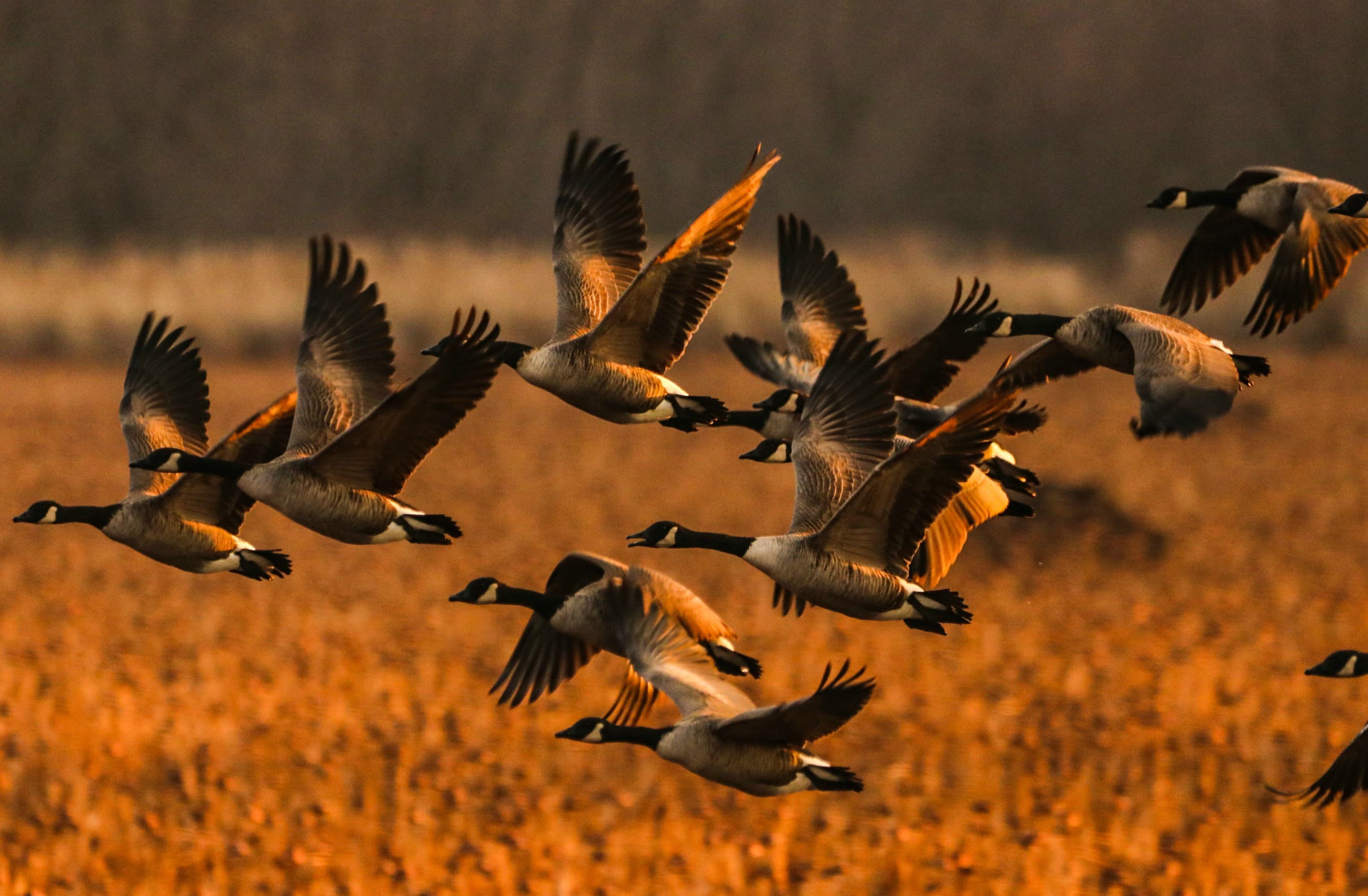 Nature Isn't Partisan. And For One Morning, Neither Were We