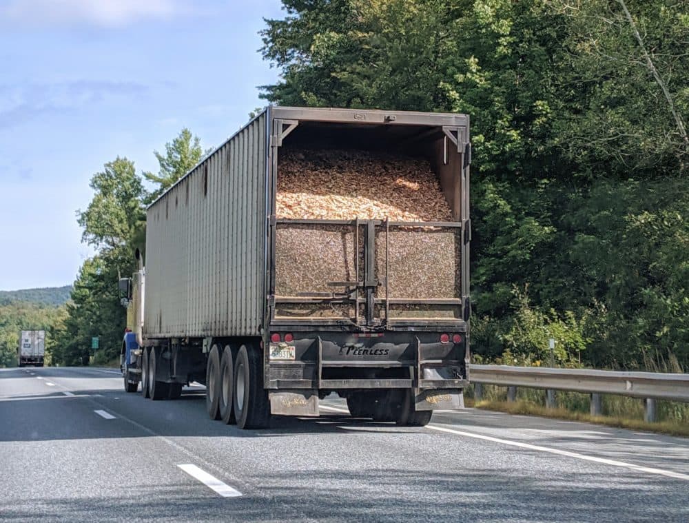 Wood chips on their way to a New Hampshire biomass facility. (Annie Ropeik, NHPR)