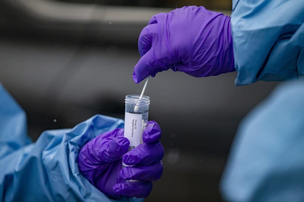 Jessica Capobianco drops a COVID-19 test swab into a vial after testing a student at the Bromfield School. (Jesse Costa/WBUR)