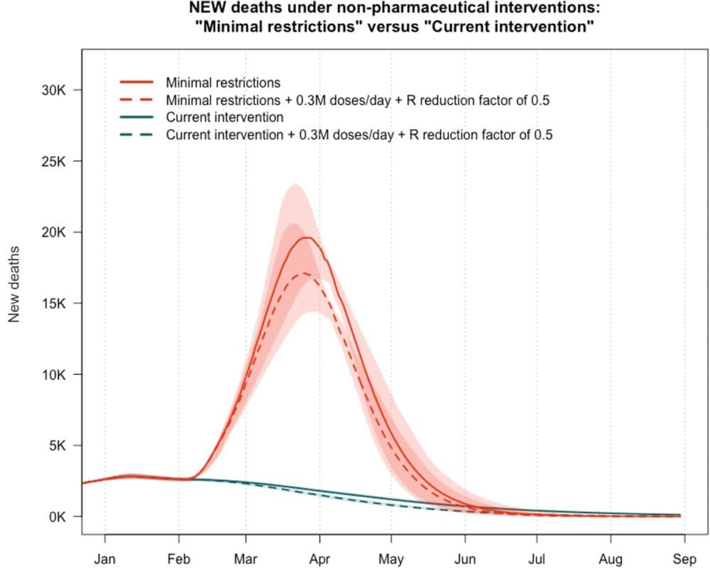 Epidemiologists from Massachusetts General Hospital, Boston University and Georgia Tech modeled the effect vaccines will have on COVID-19 deaths in different restriction scenarios. The model suggests that vaccines won't have an appreciable effect for months. (Courtesy Dr. Ben Linas)