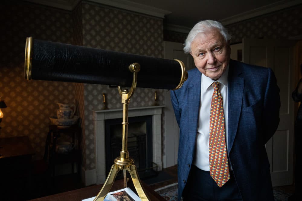Sir David Attenborough opens the Turner and the Thames, Five paintings at the artists house in Twickenham on January 10, 2020 in London, England. (Tim P. Whitby/Getty Images)