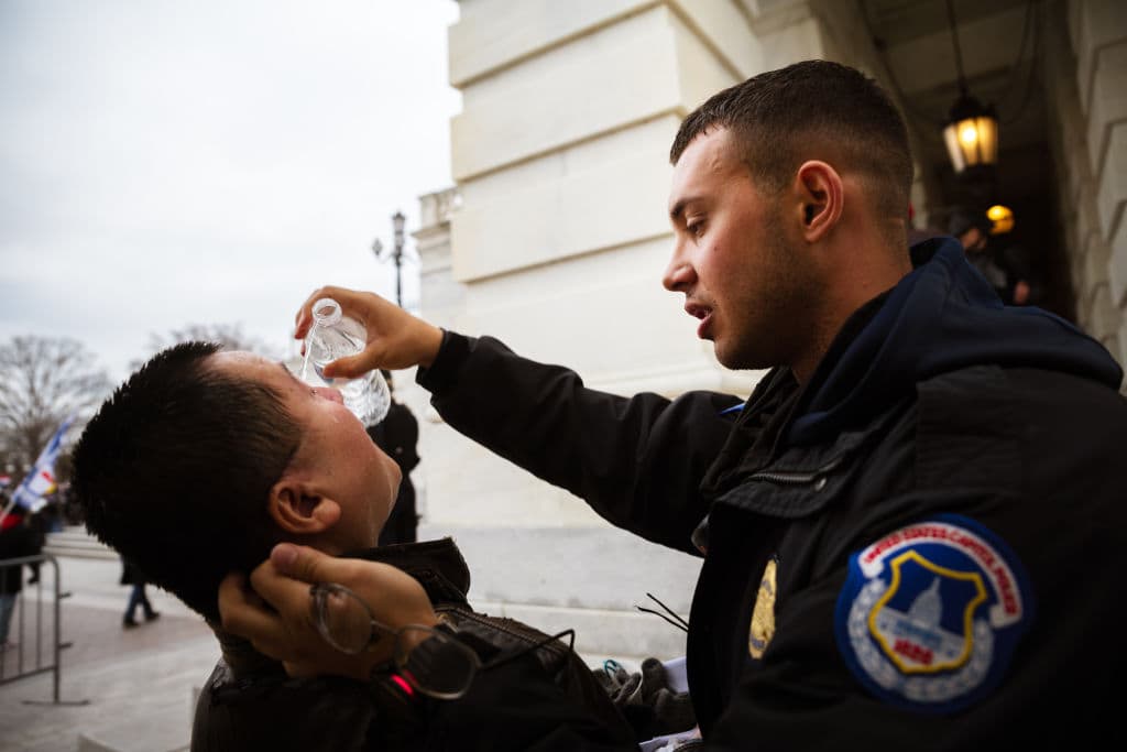 Of Course The Mob That Stormed The Capitol Wasn't Afraid