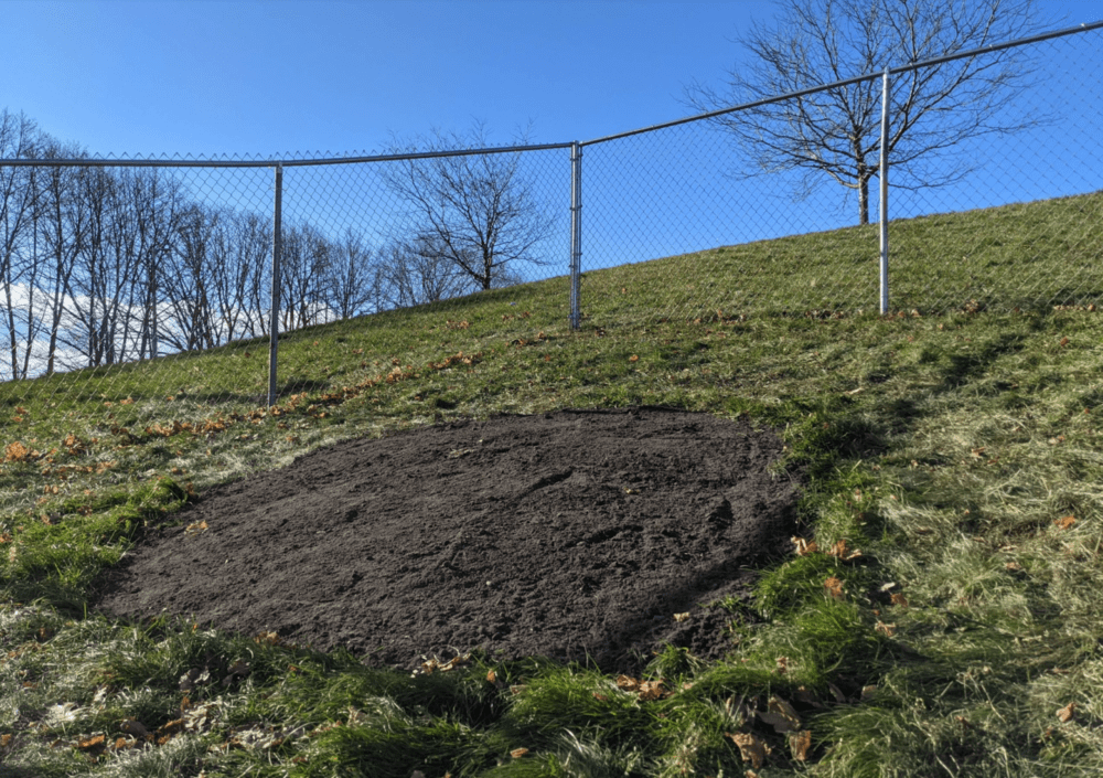 The Mary L. Pierce Well filled on December 29, 2020. (Courtesy Boston Parks and Recreation Department)