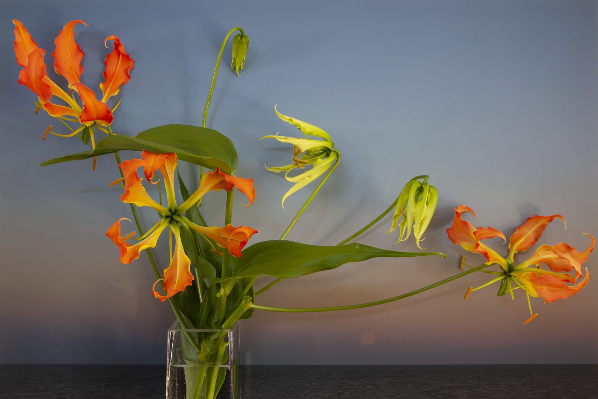 Vaughn Sills, &quot;Japanese Lilies, Moon Setting over Northumberland Strait,&quot; 2020. (Courtesy the artist)