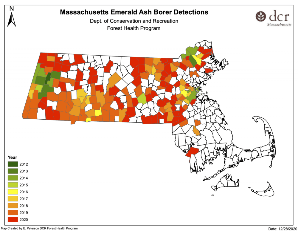 (Courtesy Massachusetts Department of Conservation and Recreation)