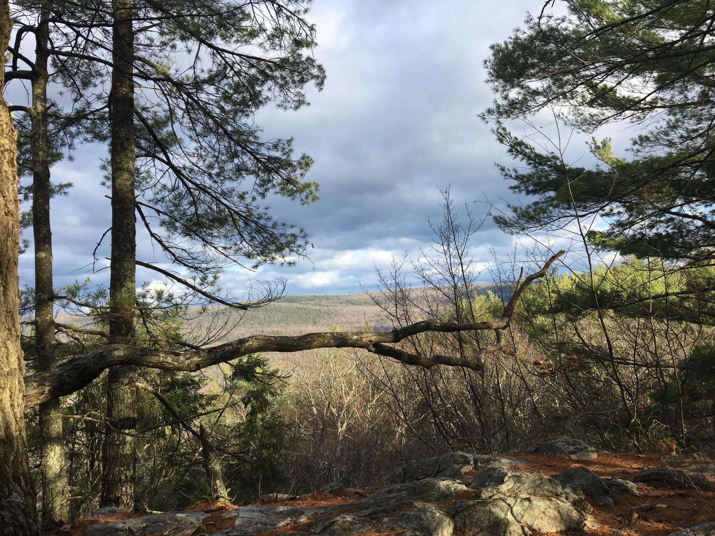 A view near Squaw Peak on Monument Mountain. Working with the Stockbridge-Munsee Band of Mohican Indians, The Trustees is changing the name of the peak to Peeskawso, which means virtuous woman. (Nancy Eve Cohen/NEPM)