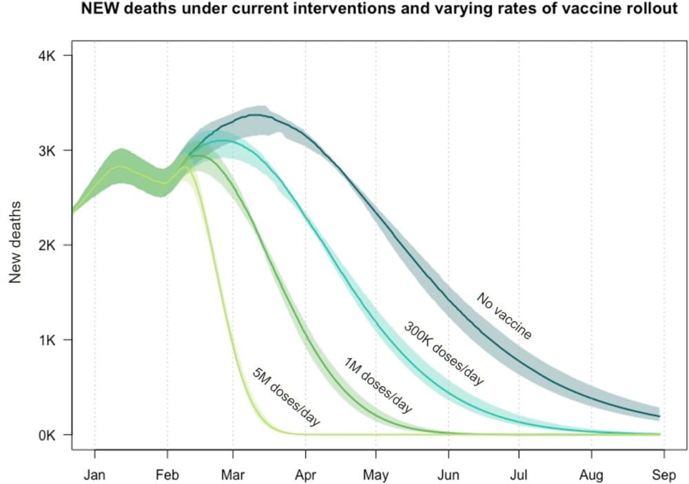 Epidemiologists from Massachusetts General Hospital, Boston University and Georgia Tech modeled the effect vaccines will have on COVID-19 deaths based on how quickly vaccine roll out moves. Faster is better. (Courtesy Dr. Ben Linas)