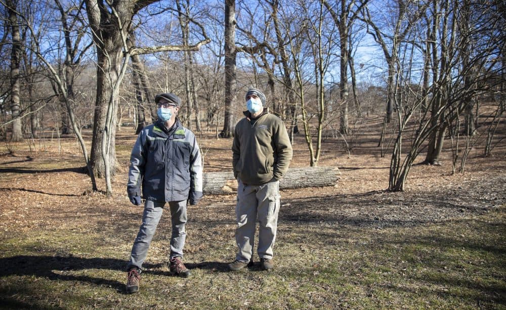 Arnold Arborteum staff Michael Dosmann and John DelRosso by a wood of oaks and maples at the Arboretum. (Robin Lubbock/WBUR)