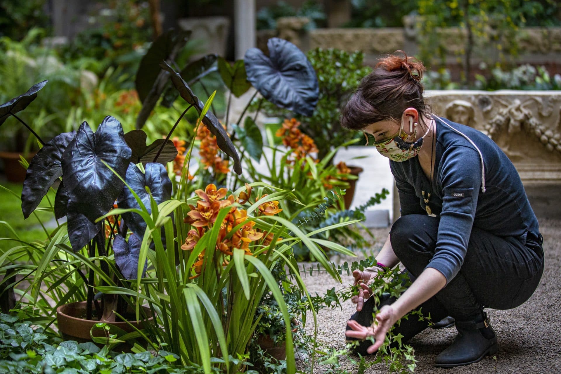 Need Some Color In Your Life? Here's How Gardner Museum