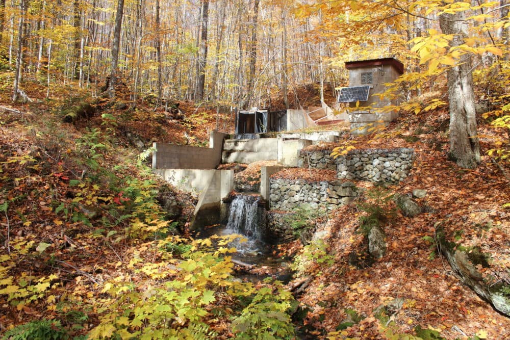 A weir in Hubbard Brook where initial samples showing the effects of acid rain were taken decades ago, leading to the passage of the Clean Air Act. (Annie Ropeik/NHPR)