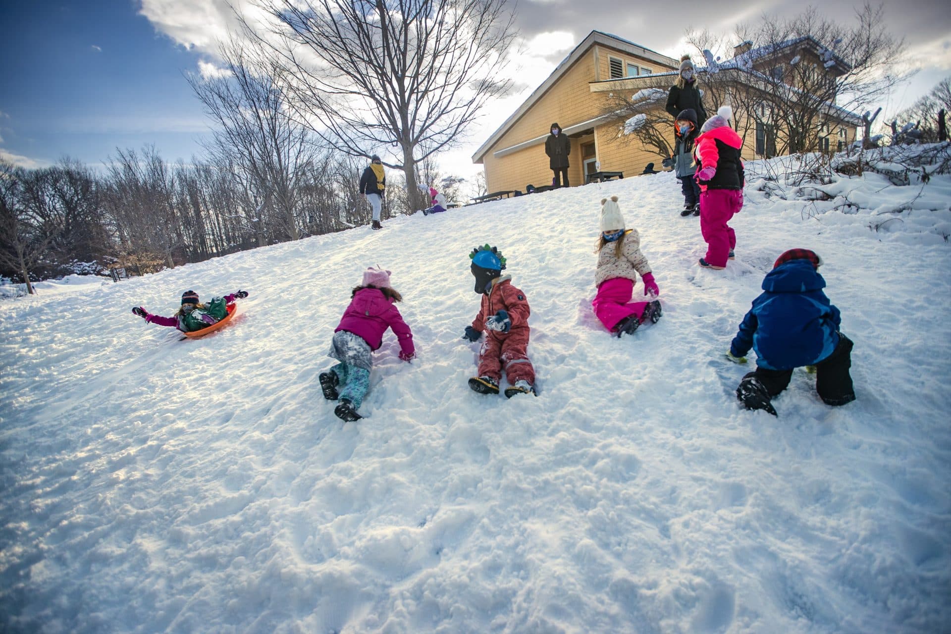 Children from the Audubon Boston Nature Center Preschool program play in the snow just before parents come to pick them up at the end of their day. (Jesse Costa/WBUR)