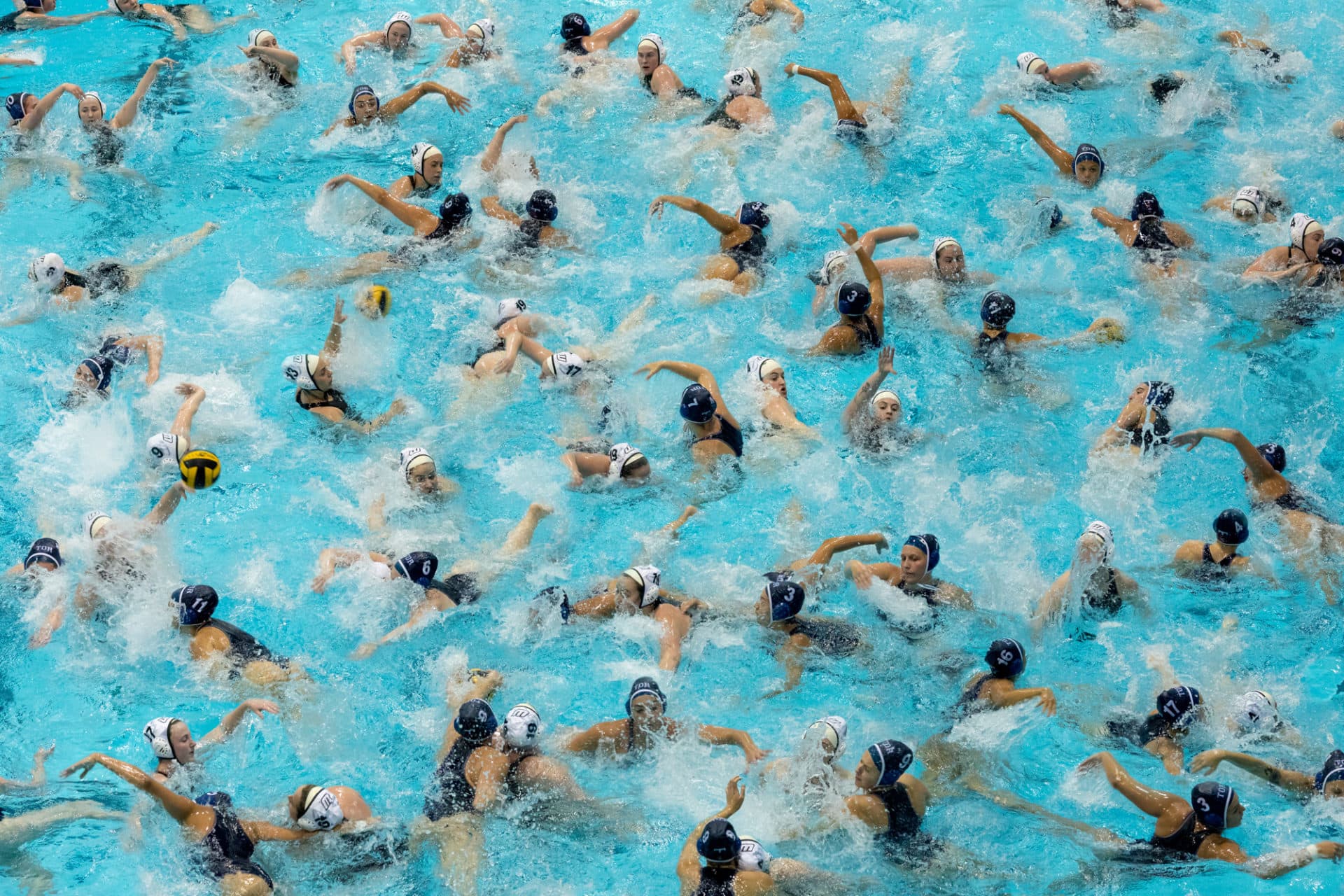 Pelle Cass, &quot;Women's Water Polo at Harvard,&quot; 2018. (Courtesy of the artist)