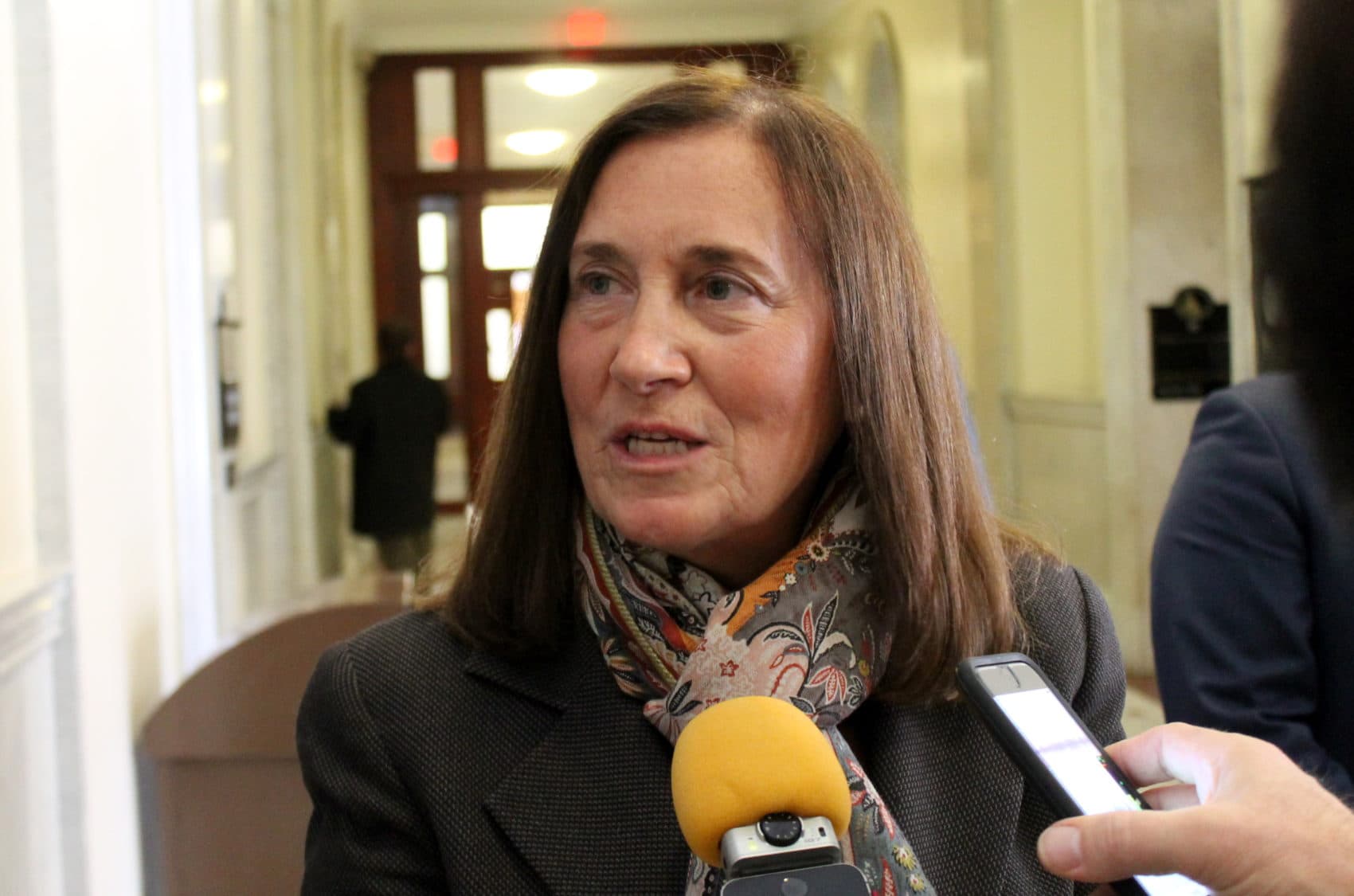 Treasurer Deborah Goldberg in a file photo. (Sam Doran/SHNS)