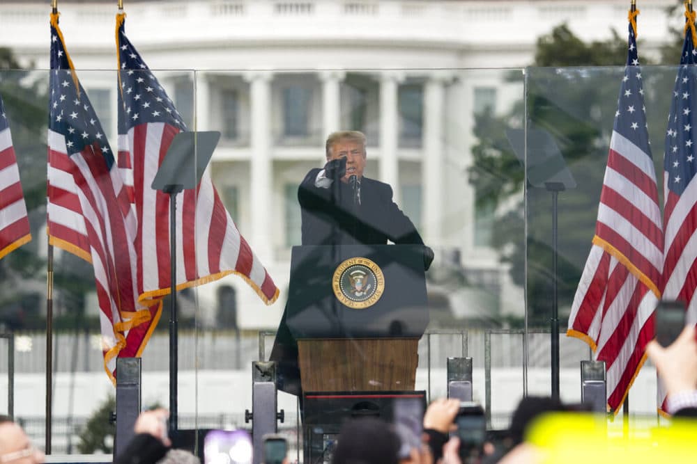 President Donald Trump speaks during a rally protesting the electoral college certification of Joe Biden in Washington. (Evan Vucci, File/AP Photo)