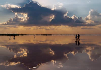 'The Bitter Comes With The Sweet': Without Death, There Is No Life