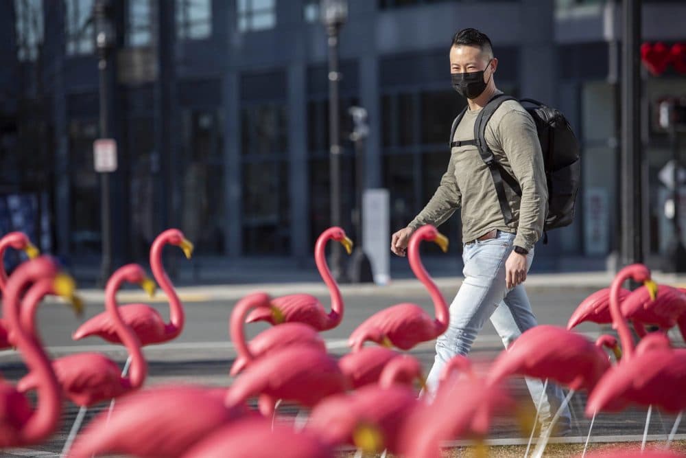 Earl Kang, who works in the seaport, walks by the newly arrived colony of flamingos on Seaport Common. (Robin Lubbock/WBUR)