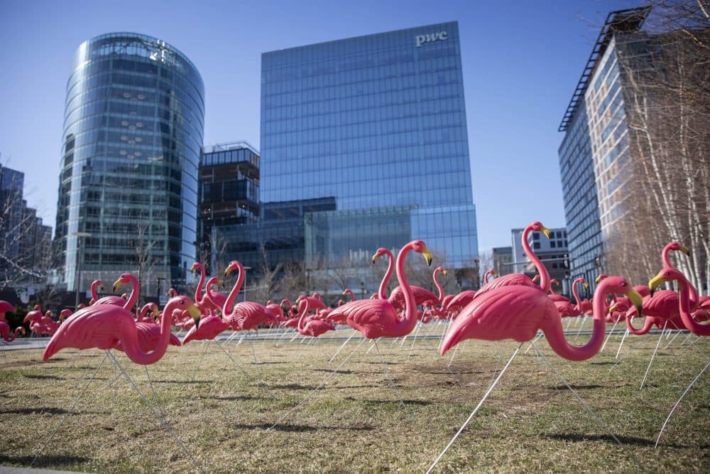 Plastic flamingos, making their home this spring on Boston's Seaport Common. (Robin Lubbock/WBUR)