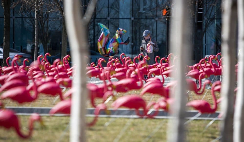 A passerby stops the take a photo of the flamingos on Boston's Seaport Common. (Robin Lubbock/WBUR)
