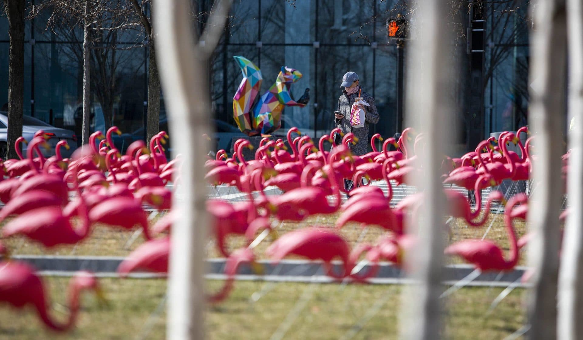 A passerby stops the take a photo of the flamingos on Boston's Seaport Common. (Robin Lubbock/WBUR)