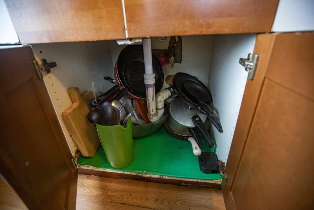 Water damage underneath the kitchen sink in Robelio Gonzalez's apartment is among many problems he claims landlord She Ling Wang ignored. (Jesse Costa/WBUR)