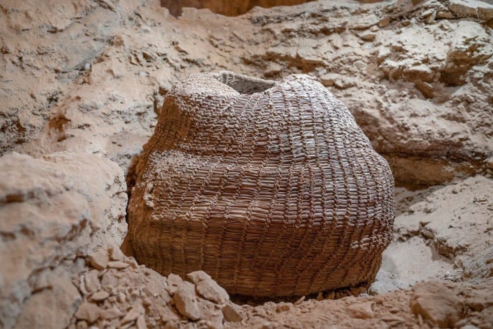 Archaeologists also found what they believe is the world's oldest fully intact basket. (Yaniv Berman/Israel Antiquities Authority)