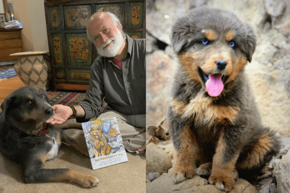 Left: Lo Khyi and author Scott DeLisi pose with a copy of &quot;The Ambassador's Dog.&quot; (Photo by Leija DeLisi). Right: A picture of the moment author Scott DeLisi met Lo Khyi. (Courtesy)