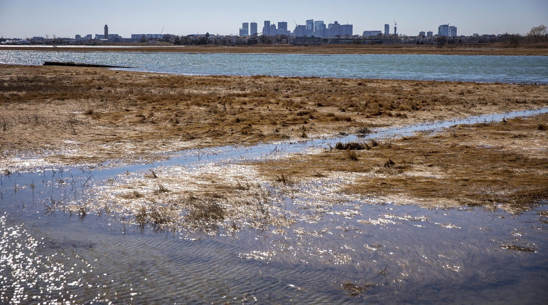 Looking across Belle Isle Marsh to Boston on a bright spring day.