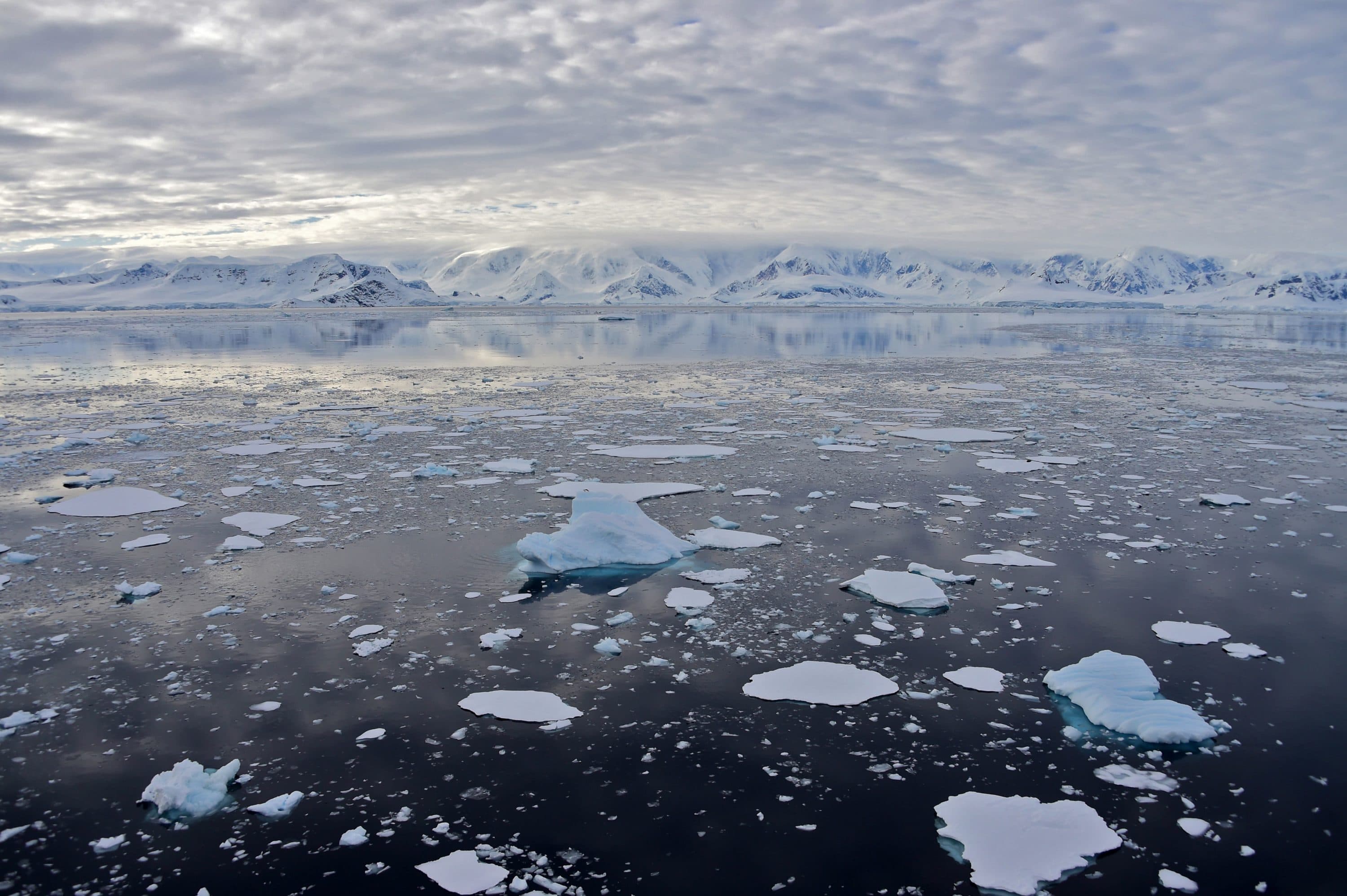 View of a glacier at Chiriguano Bay in South Shetland Islands, Antarctica. (Johan ORDONEZ/AFP via Getty Images)