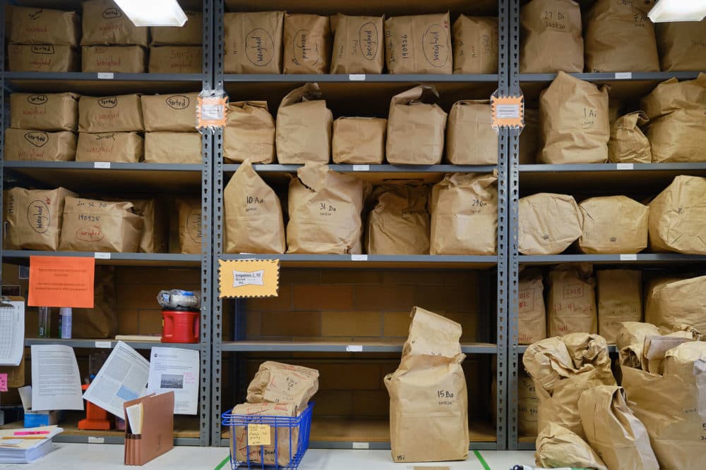 A storage room on the Kansas State University campus full of brown paper bags with grass samples from the Konza Prairie. (Brian Grimmett/Kansas News Service)