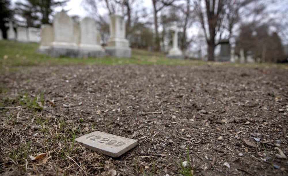 A number on a small metal plate marks a green burial site at the Mount Auburn Cemetery. (Robin Lubbock/WBUR)