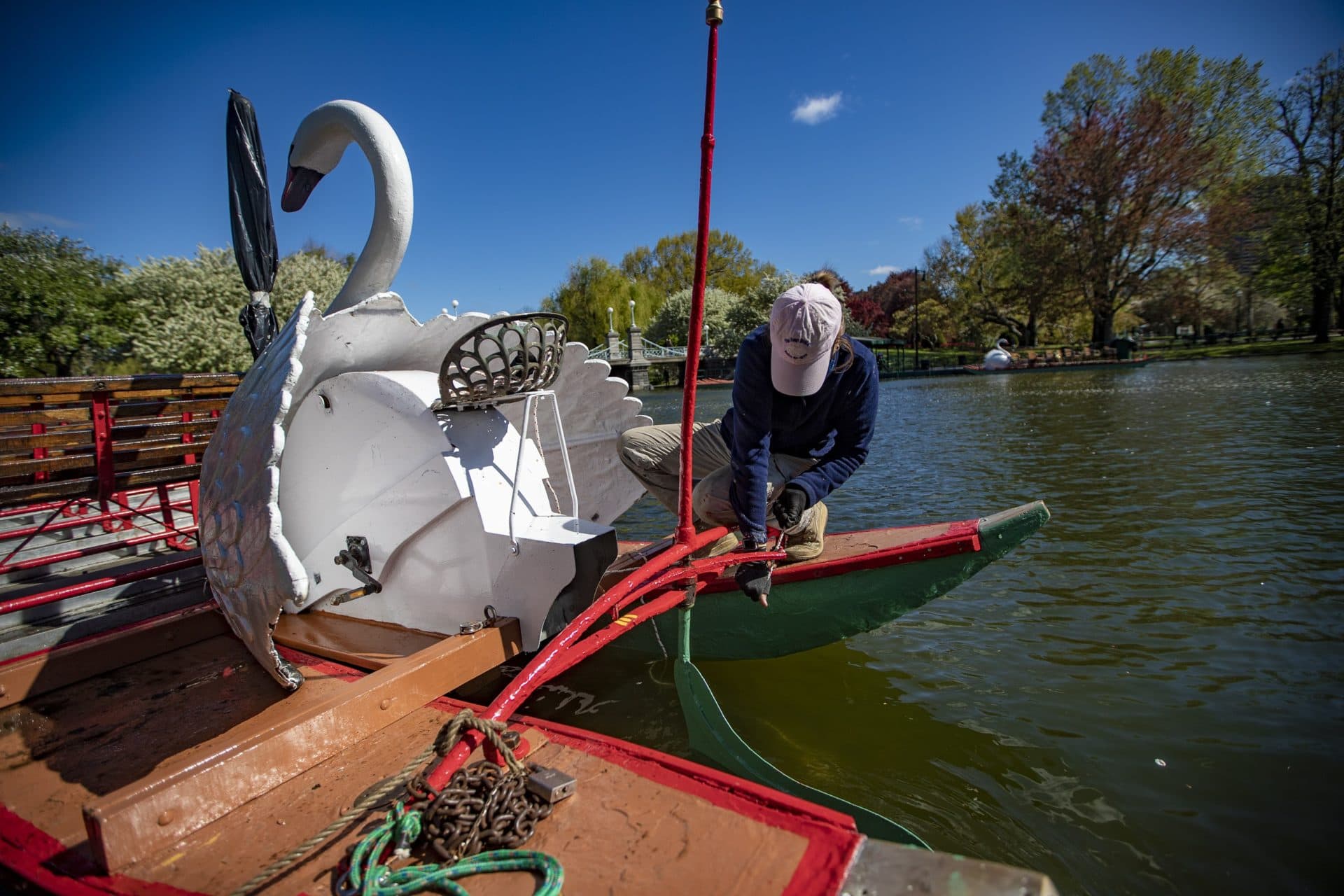 Lyn Paget, president of Swan Boats Inc., connects the swan boat's rudder to the steering system. (Jesse Costa/WBUR)