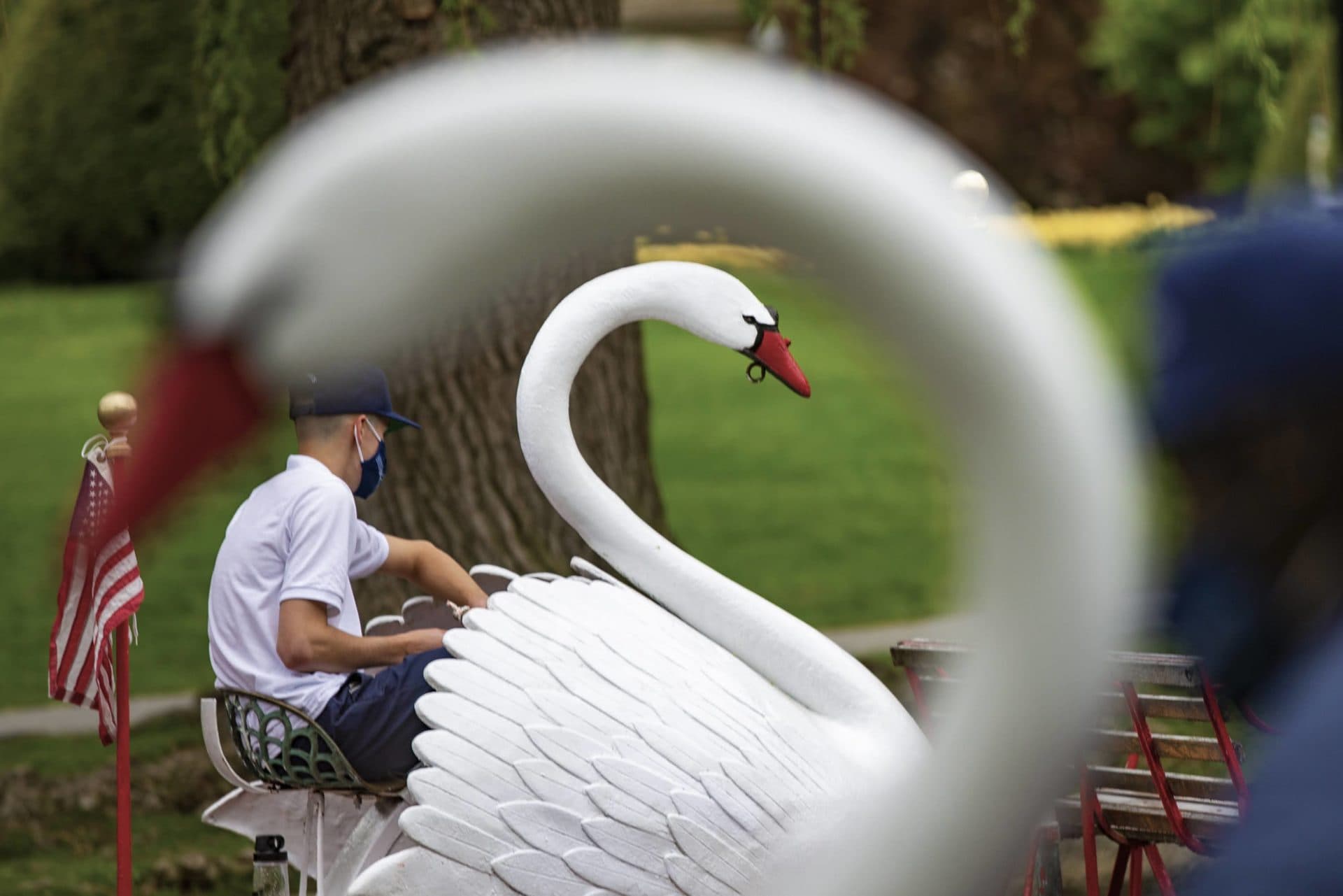 Two swan boats pass by one another in the Public Garden lagoon on the first day of operation on May 8, 2021. The swan boats did not operate in 2020 because of pandemic restrictions prohibiting people from gathering in public places. (Jesse Costa/WBUR)