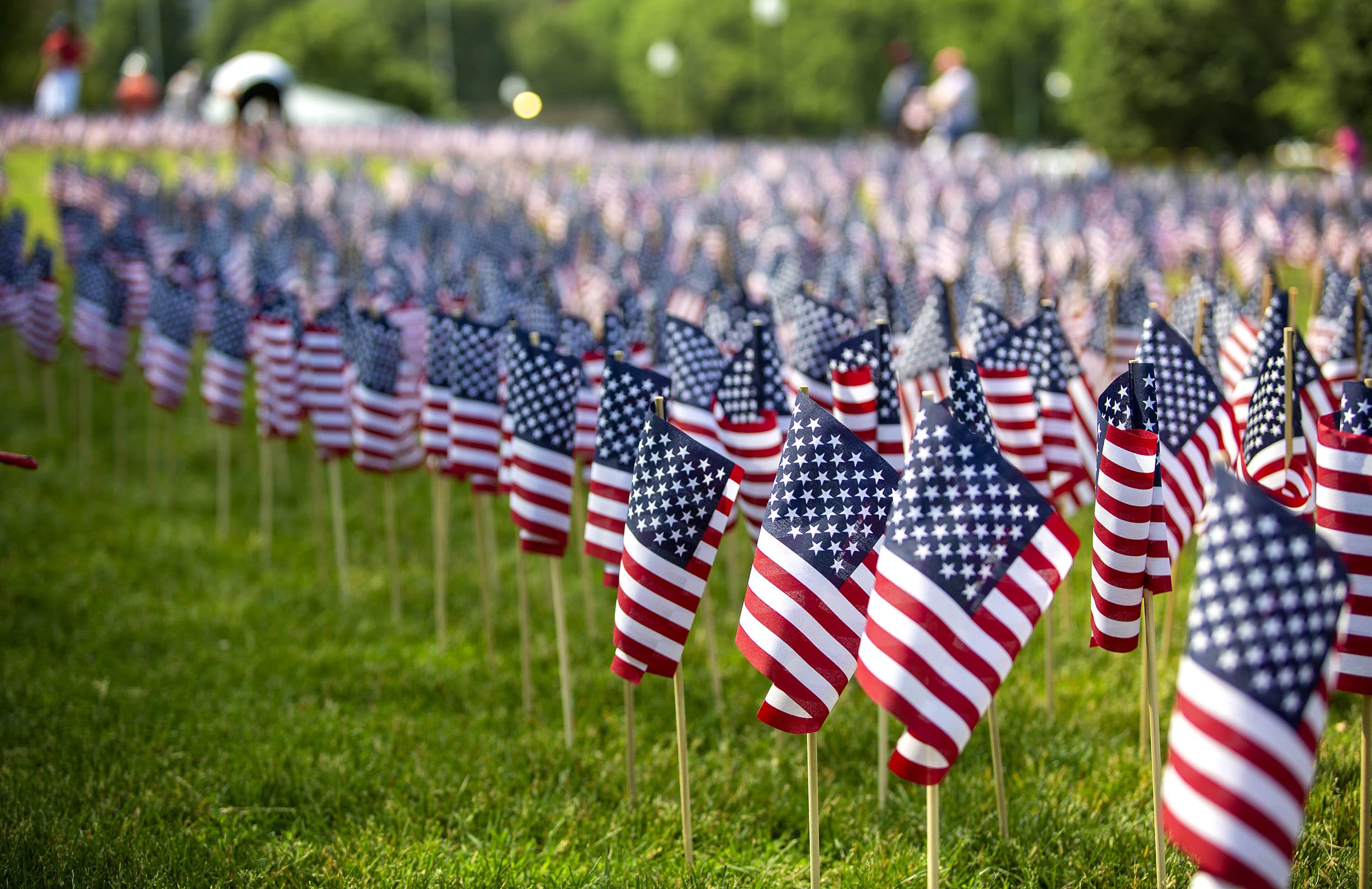 American flags placed in the Boston Common ahead of Memorial Day. (Robin Lubbock/WBUR)