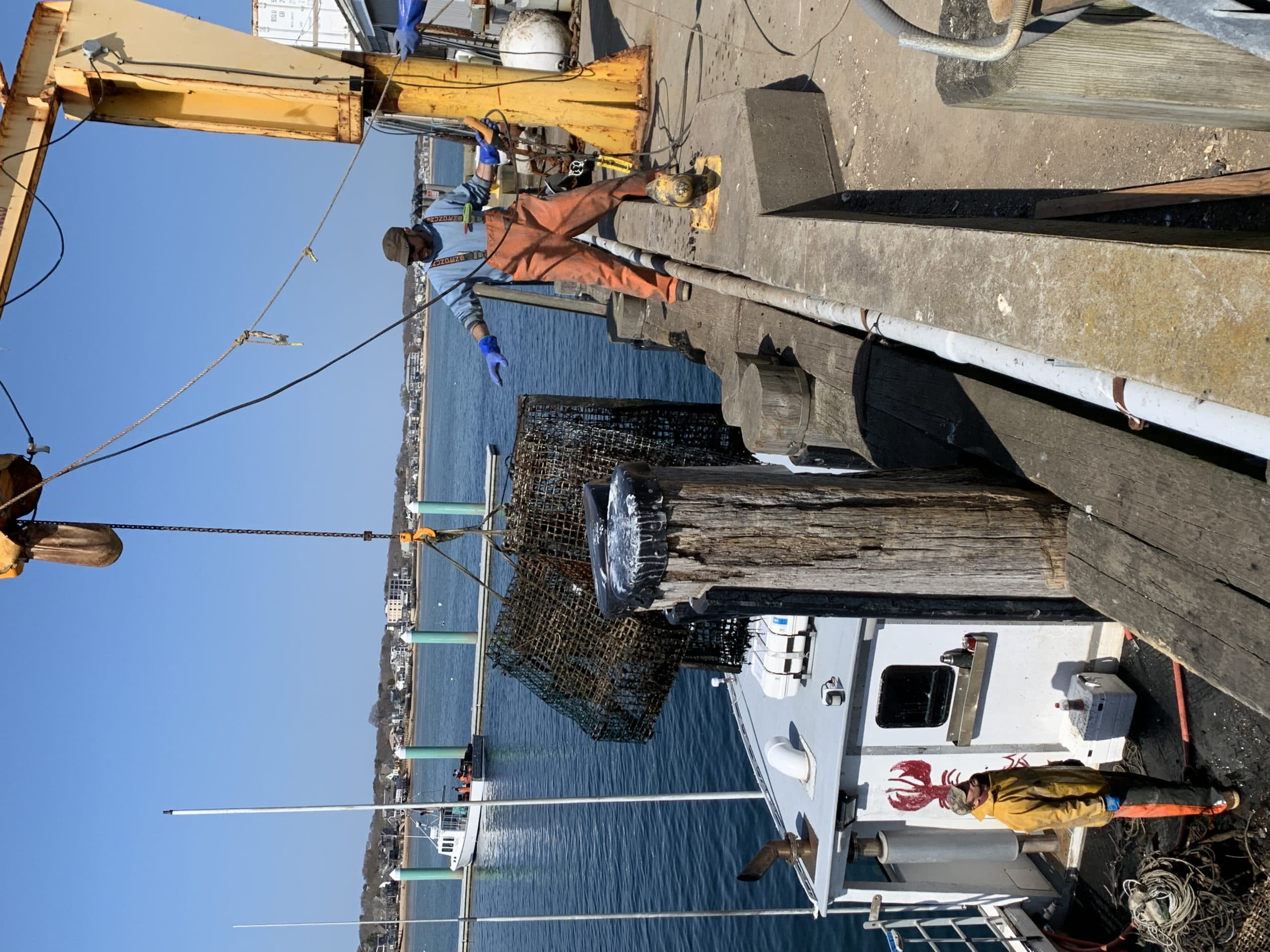 Owen Nichols, CCS Marine Fisheries Research Director, off-loading recovered lobster traps from F/V MISS LILLY at MacMillan Pier, Provincetown. (Courtesy Annie Lewandowski)