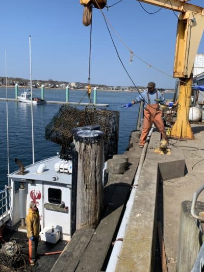 Owen Nichols, CCS Marine Fisheries Research Director, off-loading recovered lobster traps from F/V MISS LILLY at MacMillan Pier, Provincetown. (Courtesy Annie Lewandowski)