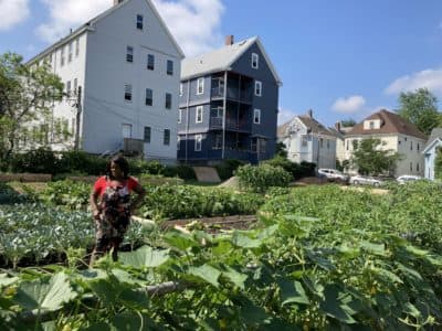 'A Reckoning in Boston' examines barriers blocking Black residents from prosperity