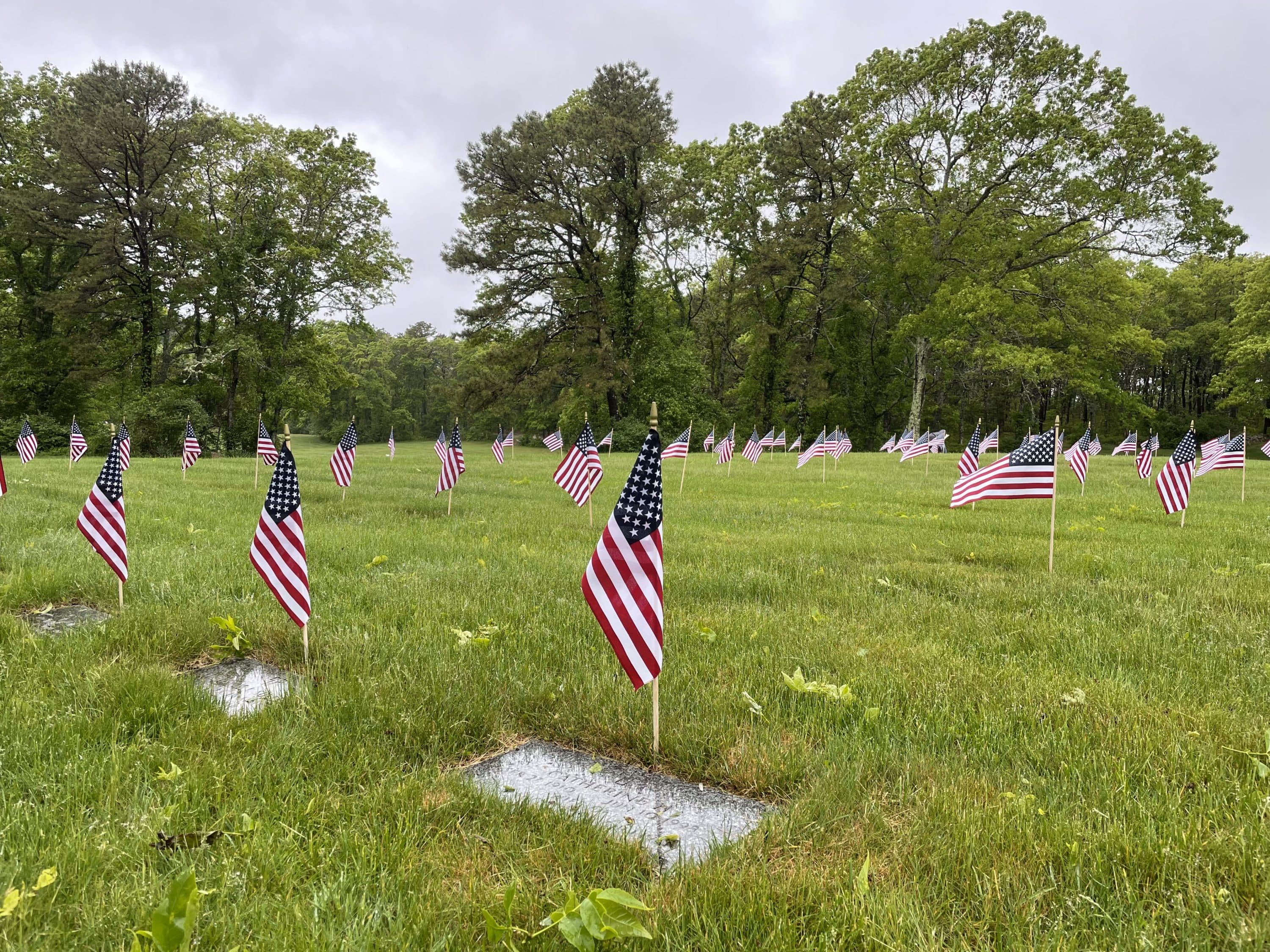 Operation Flags for Vets (Alex Ashlock/Here & Now)