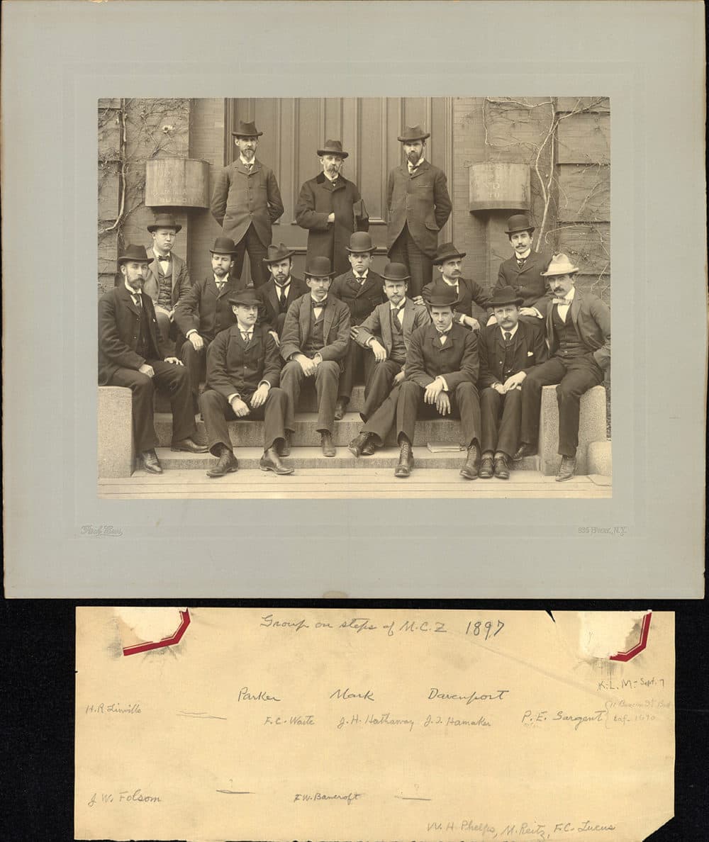 Women working at the museum were not included in staff photographs, like this one of the male curatorial staff in 1897. (Courtesy of the Ernst Mayr Library and Archives of the Museum of Comparative Zoology, Harvard)