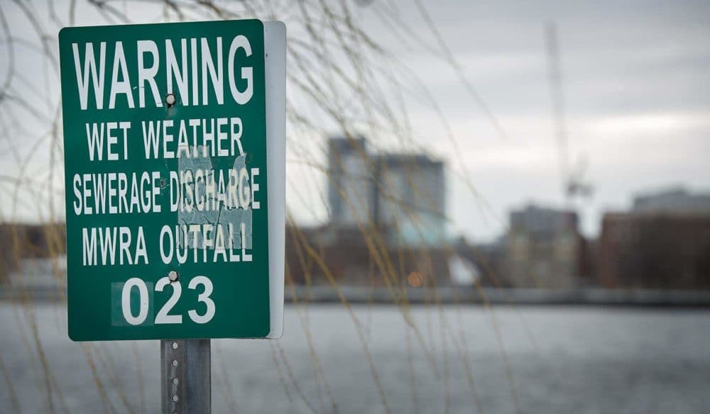 An MWRA wet weather sewage discharge outfall warning on the Charles River by the outlet of Boston's Muddy River. (Robin Lubbock/WBUR)