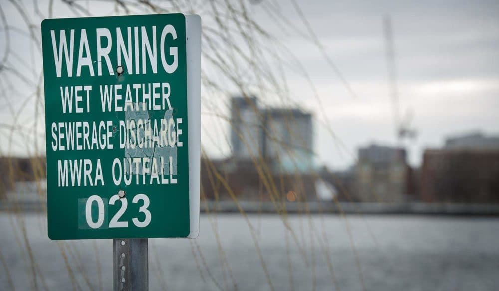 Beware: A Public Health Advisory Has Been Issued for the Charles River