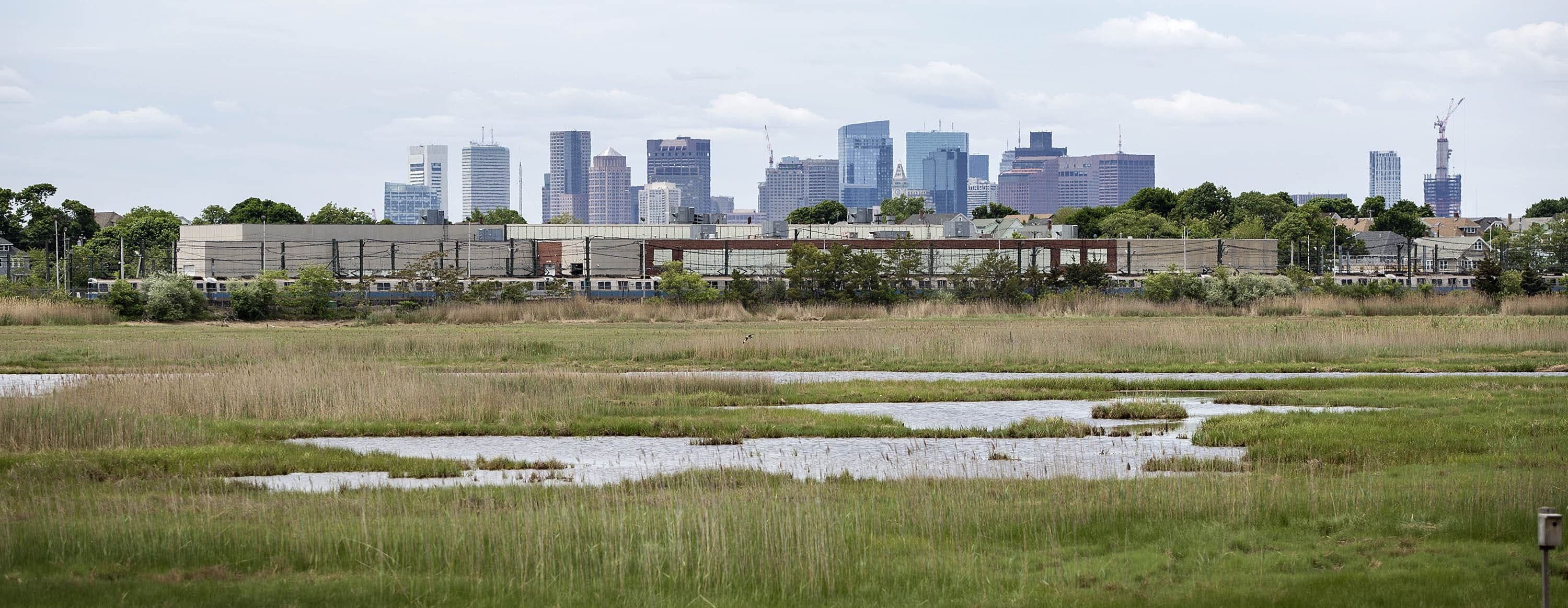 Blue Line trains seen at the Orient Heights Car Yard, which sits on edge of Belle Isle Marsh. (Robin Lubbock/WBUR)