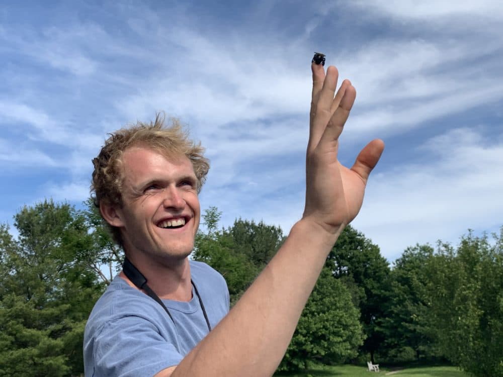 James Webb, Cornell researcher and Beemmunity co-founder, with a bee on his finger. (Courtesy ofJames Webb)
