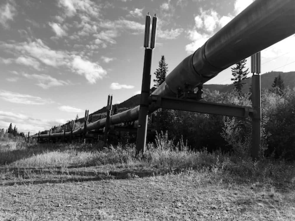 Thermosiphons or "chillers" on the Alyeska Pipeline, which runs on a N-S axis across Alaska, taken by the author on a trip to the state in 2019.  Oil companies heat oil to make it flow, but doing so tends to thaw the permafrost that the pipeline's supports rest on. (Frederick Hewett)