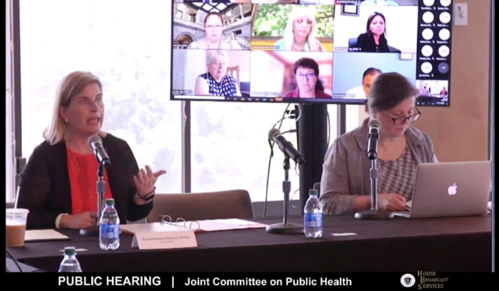 Although the bulk of Monday's hearing on children and COVID-19 vaccines was virtual, Rep. Marjorie Decker and Sen. Jo Comerford chaired the hearing from the Museum of Science. (Screenshot)