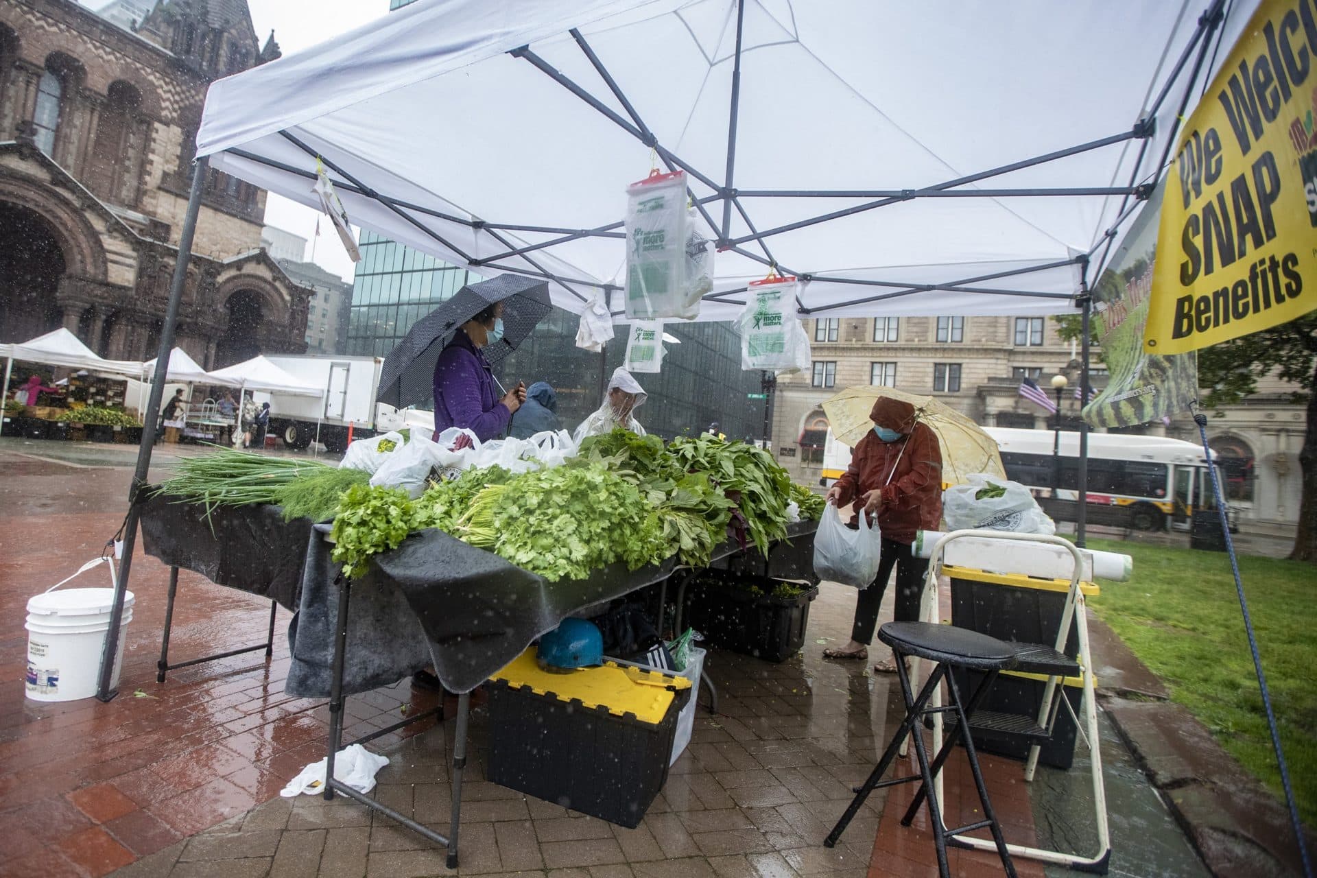 Only six out of the normal 25 vendors that operate at the Copley Square Farmer’s Market on Friday decided to brave weather during Tropical Storm Elsa. (Jesse Costa/WBUR)