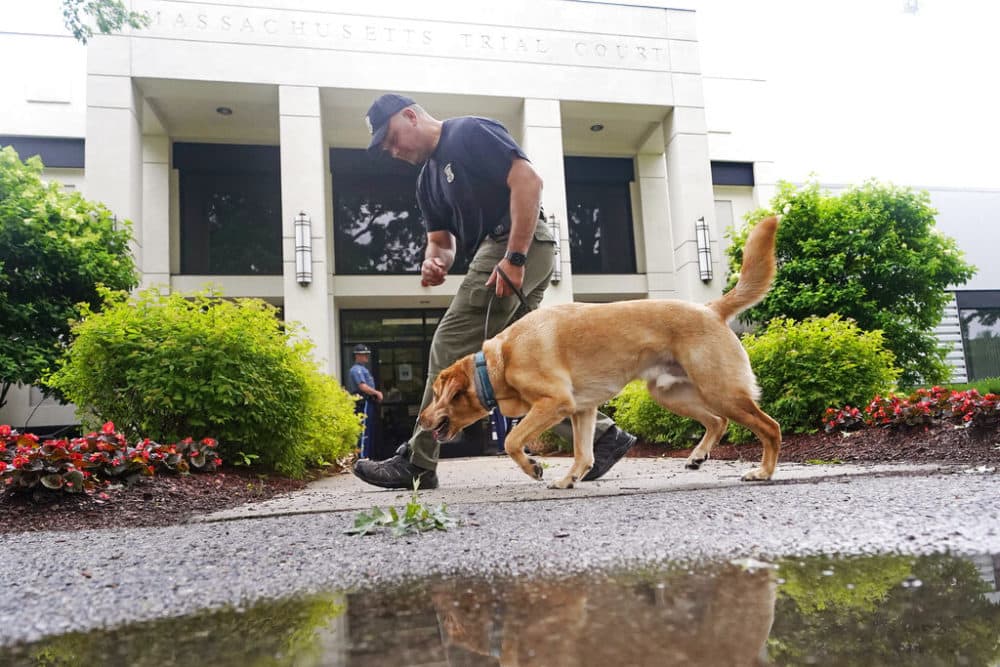 A Massachusetts State Police K-9 team searches for explosives outside Malden District Court, Tuesday, July 6, 2021, in Medford. (Charles Krupa/AP)
