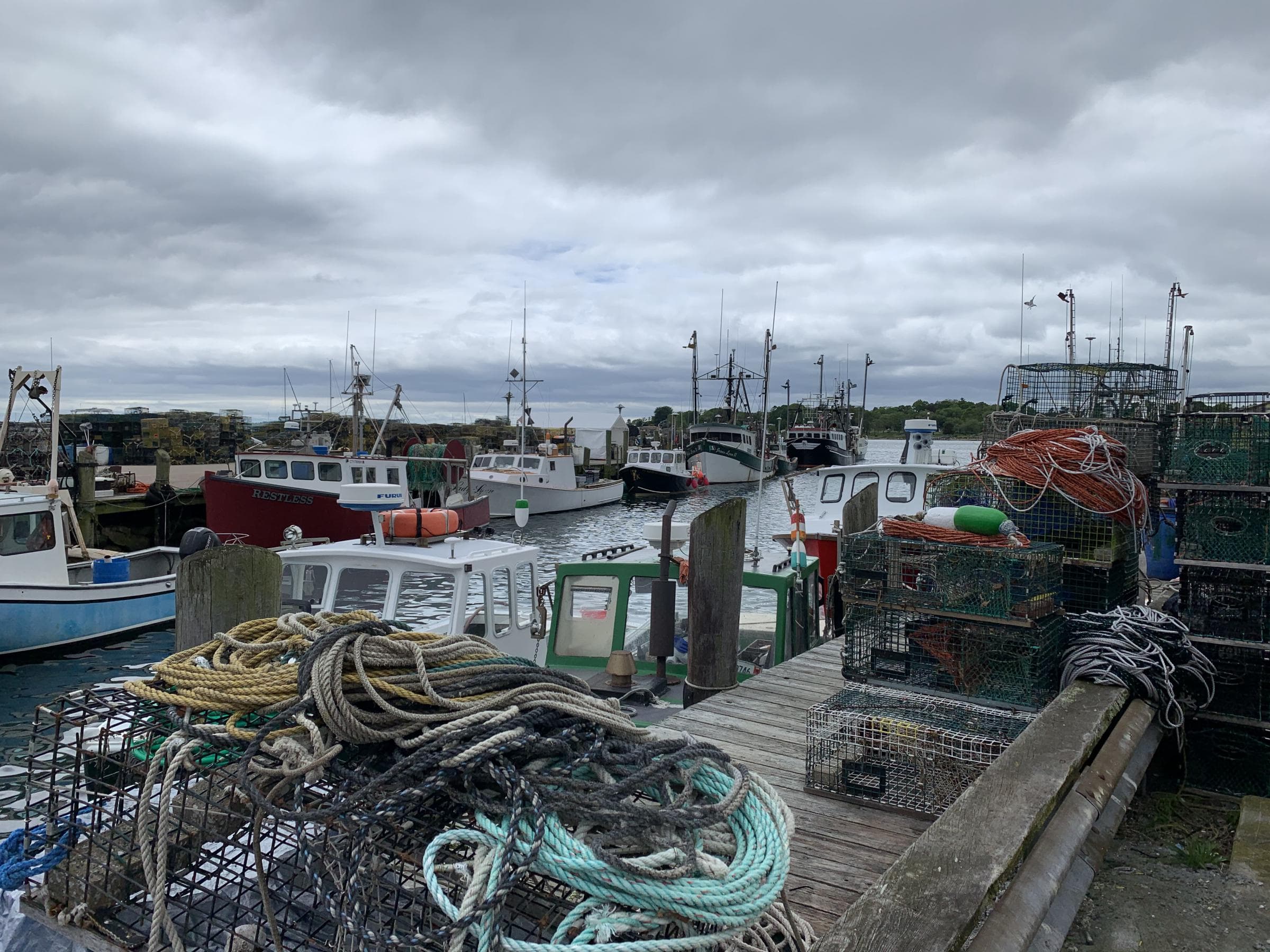 Stonington town dock is home port to several fishing enterprises. (Harriet Jones/Connecticut Public Radio)