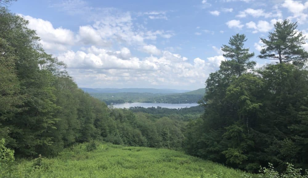 Olivia's Overlook in West Stockbridge. (Jacquinn Sinclair for WBUR)